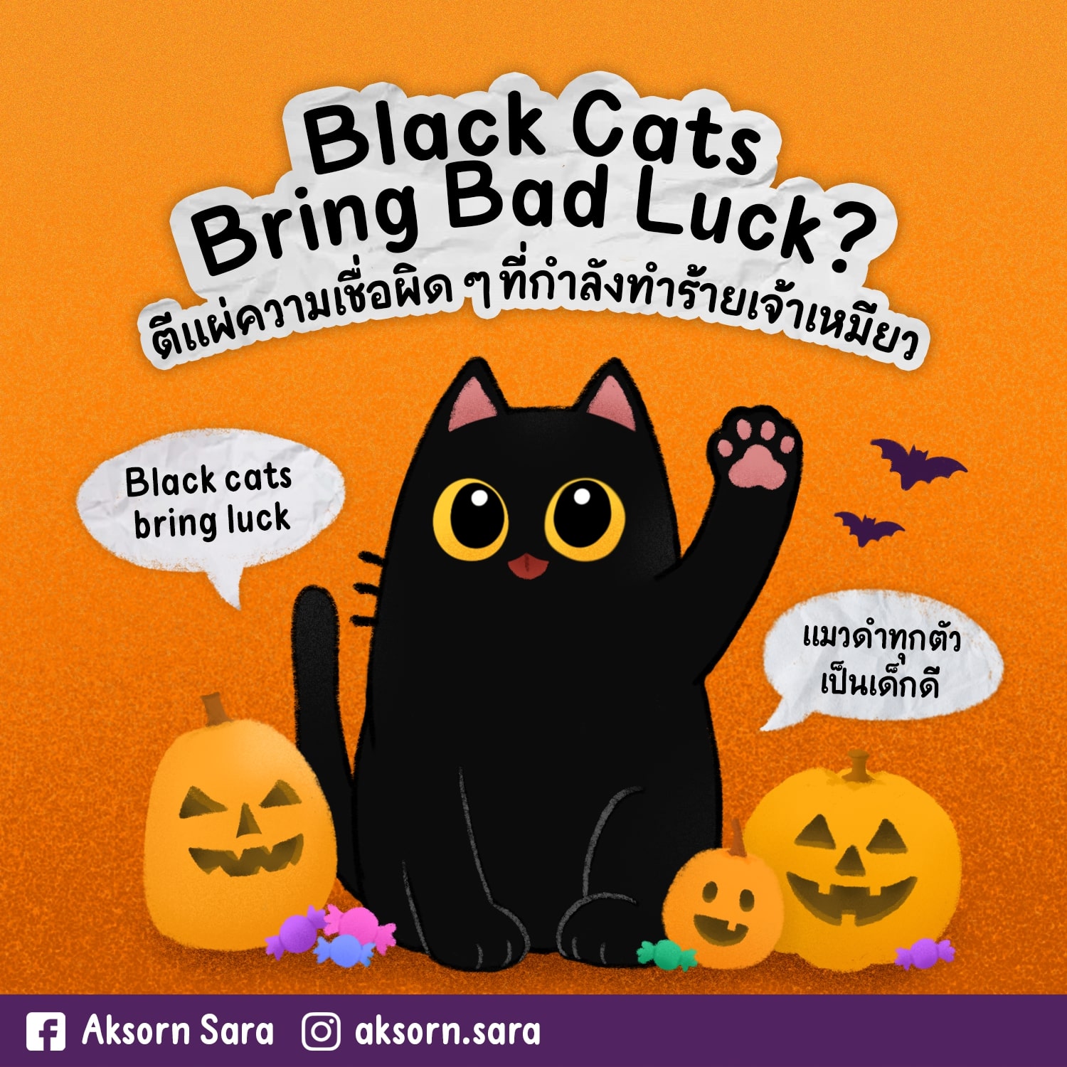Black Cats Bring Bad Luck Arts Goz